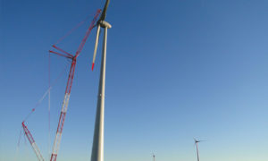 Leia mais sobre o artigo LIVRAMENTO HOLDING