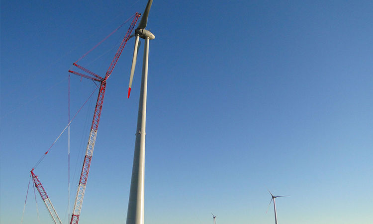 Leia mais sobre o artigo LIVRAMENTO HOLDING