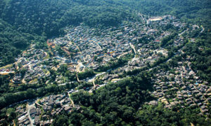 Leia mais sobre o artigo PROGRAMA SERRA DO MAR