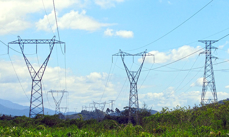 Leia mais sobre o artigo ACOMPANHAMENTO AMBIENTAL