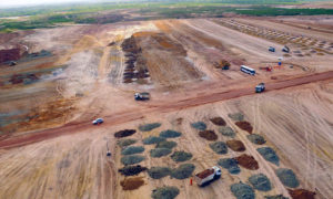 Leia mais sobre o artigo Premium I | PETROBRAS