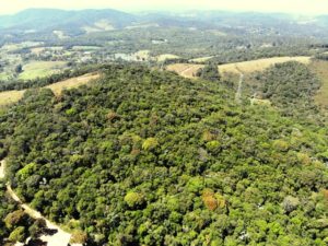 Leia mais sobre o artigo Futuro Parque Natural Municipal